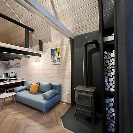 Mini Valley House 1 Sita Buzăului エクステリア 写真