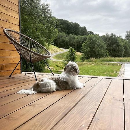 Mini Valley House 1 Sita Buzăului エクステリア 写真