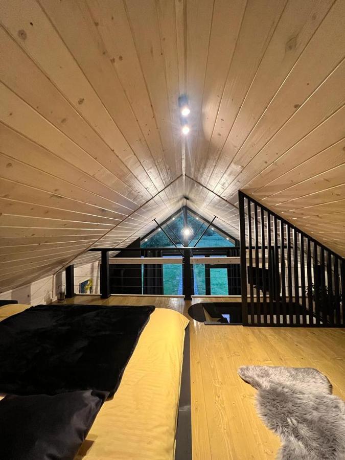 Mini Valley House 1 Sita Buzăului エクステリア 写真