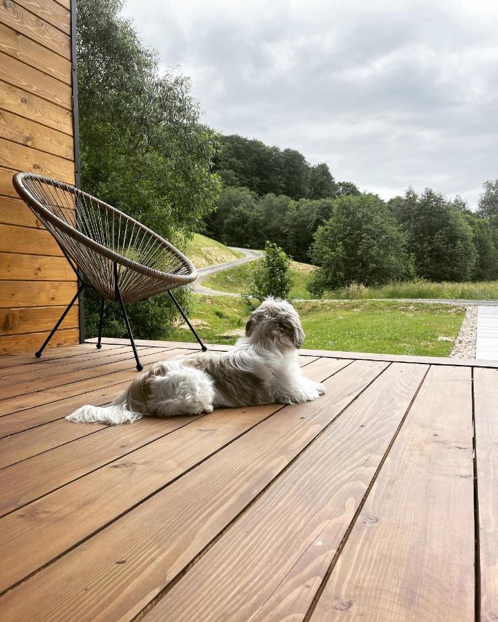 Mini Valley House 1 Sita Buzăului エクステリア 写真
