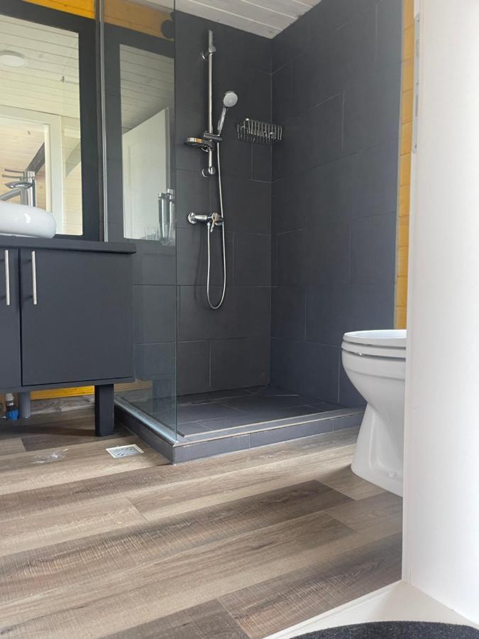 Mini Valley House 1 Sita Buzăului エクステリア 写真